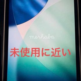 iPad Pro (M4) wi-fi 11インチ 256GB + その他