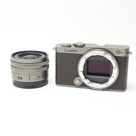 《美品》Panasonic LUMIX S9 広角ズームレンズキット DC-S9N-N ゴールド