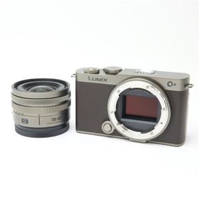 《美品》Panasonic LUMIX S9 広角ズームレンズキット DC-S9N-N ゴールド
