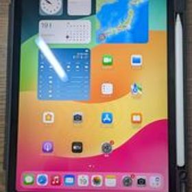 【動作確認済み】iPad Pro 第2世代 11インチ 256GB スペースグレイ ApplePencil付き