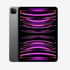 Apple iPad Pro 第4世代 11インチ 256GB M2チップ
