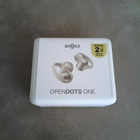 【未開封】Shokz OpenDots ONE SKZ-EP000053 グレー