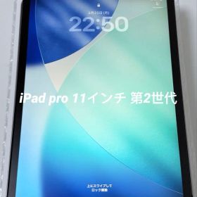 iPad pro 11インチ 第2世代 128GB Cellularモデル