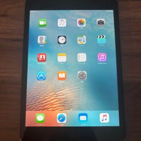 【送料無料】Apple iPad mini初代スペースグレー