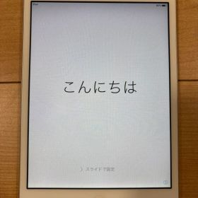 【純正充電ケーブル・純正イヤホン付き】iPad mini 初代 16GB