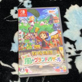 Switch 牧場物語 Let's!風のグランドバザール