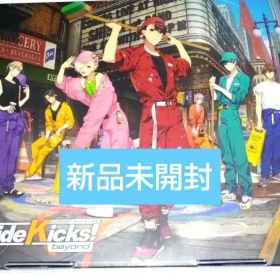 新品◆サイドキックス ビヨンド デラックスエディション switch *