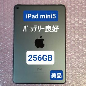 美品 iPad mini 第5世代 256GB Wi-Fiモデル