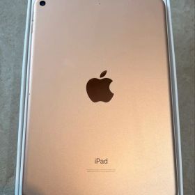 ジャンク品 iPad mini（第5世代）