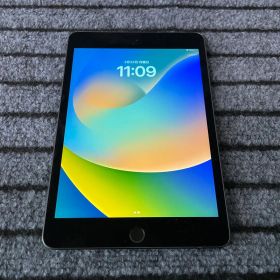 6 【早い者勝ち】 iPad mini5 5世代 64GB スペースグレイ