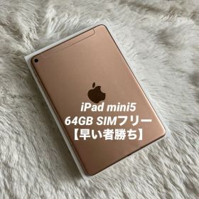 【1台限定】iPad mini5 64GB SIMフリー 【すぐ発送】【付属品】