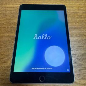 iPad mini 第5世代 64GB Wi-Fi スペースグレイ