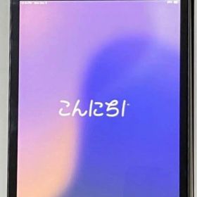 Apple iPad mini(第5世代) スペースグレー 本体