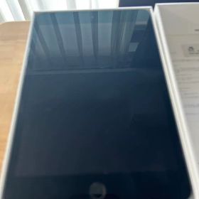 ipad mini 5 256GB セルラー スペースグレイ