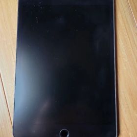 iPad mini 5 Cellular 64GB ジャンク