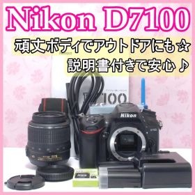 ⭐️本格撮影⭐️Nikon D7100 ニコン デジタル一眼レフ カメラ