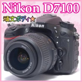 ⭐️頑丈ボディ⭐️Nikon D7100 ニコン デジタル一眼レフ カメラ