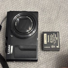Panasonic LUMIX DC-TZ95D 26022950