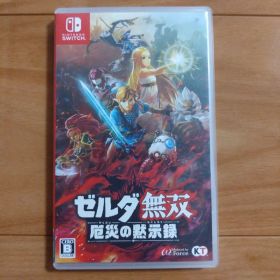 ゼルダ無双 厄災の黙示録 Nintendo switch