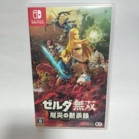 switch ゼルダ無双 厄災の黙示録