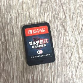 【本文必読】ゼルダ無双 厄災の黙示録 ⚠︎エラーコード