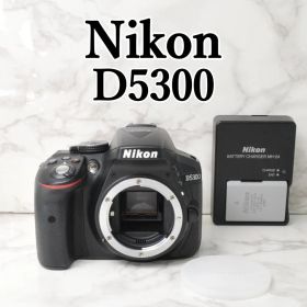 訳あり Nikon D5300 ボディ Wi-Fi搭載 高画質 一眼レフカメラ