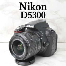 動作品 Nikon D5300⭐️Wi-Fi スマホ転送 一眼レフカメラ ニコン