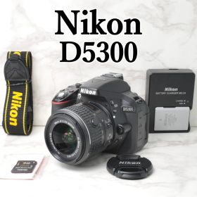 Wi-Fi搭載❣️Nikon D5300⭐️スマホ転送 一眼レフカメラ 自撮り