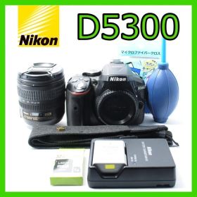 家族との想い出に❗️Nikon D5300✨Wi-Fiでスマホ転送 すぐに使える