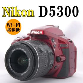 【美品】Nikon D5300 一眼レフ カメラ 撮影 Wi-Fi 桜 入学式