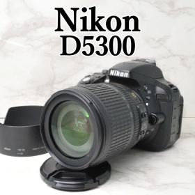 Nikon D5300⭐️高倍率ズーム Wi-Fi スマホ転送 一眼レフカメラ