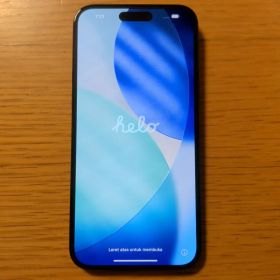 【初期化済】iPhone 15 Plus 256GB ブラック SIMフリー