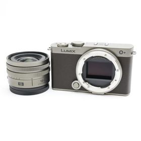 《新同品》Panasonic LUMIX S9 広角ズームレンズキット DC-S9N-N