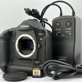 ★外観＆光学極上．AF不良★キヤノンEOS-1D Mark ii DIGITAL