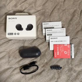 ソニー SONY 完全ワイヤレスイヤホン WF-C500