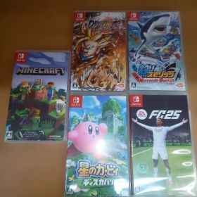 Switch マインクラフト ドラゴンボール カービィ 釣りスピリッツ FC25