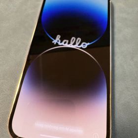 【シャッター音なし】iPhone 14 Pro シルバー 256GB 【海外版】