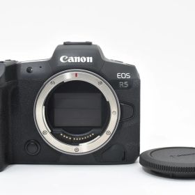 ★極上★ キヤノン Canon EOS R5 ボディ 《ショット数57000回以下！》★完動品★ #542P962A602027