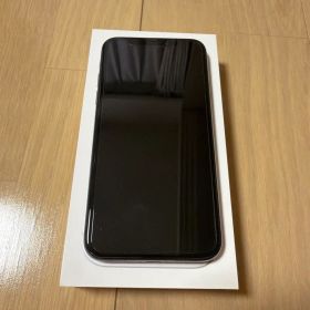 美品 Apple iPhone X 256GB シャッター音消せる