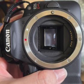 Canon EOS Kiss X7 デジタル一眼レフカメラ