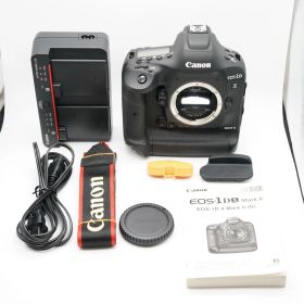 ほぼ新品 キヤノン EOS-1D X Mark II ボディ レリーズ数16000回以下！あると嬉しい取説・純正ストラップ付！