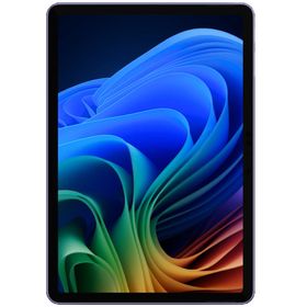 マイクロソフト Surface Pro 12インチ Snapdragon X Plus・16GBメモリ・512GB UFS搭載モデル