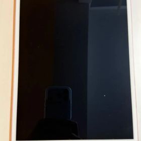 iPad Pro(第二世代)10.5インチ 64GB