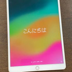 ipad pro 10.5 64GB