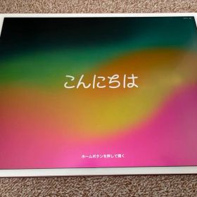 【美品】Apple iPad Pro 10.5インチ ローズゴールド
