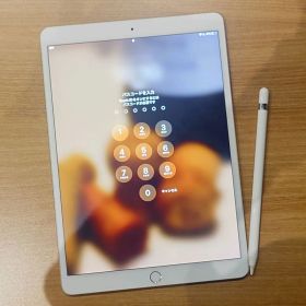 iPad Pro 10.5 64GB MQF02J/A 第一世代