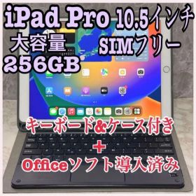 iPad Pro 10.5インチ256GB セルラーモデル