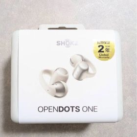 Shokz OpenDots ONE SKZ-EP-000054（グレー）