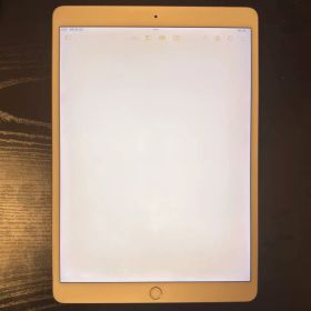 iPad Pro 10.5 512GB セルラーモデル