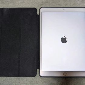 SoftBank iPad Pro 10.5 64GB 画面色ムラ光漏れあり